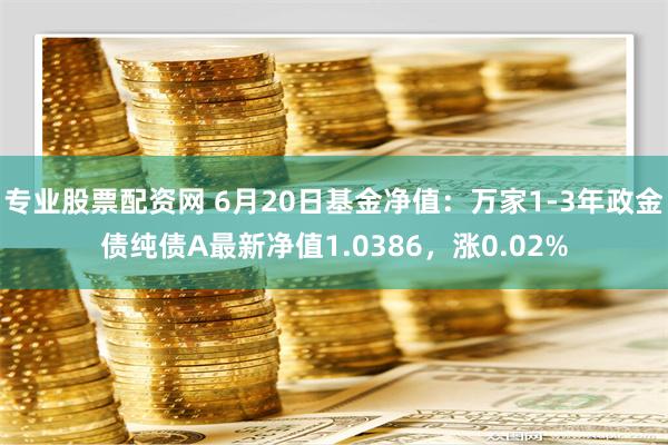 专业股票配资网 6月20日基金净值：万家1-3年政金债纯债A最新净值1.0386，涨0.02%