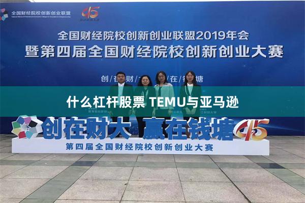 什么杠杆股票 TEMU与亚马逊