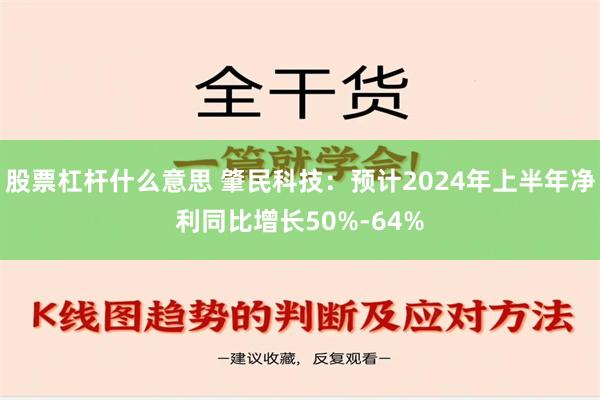 股票杠杆什么意思 肇民科技：预计2024年上半年净利同比增长50%-64%