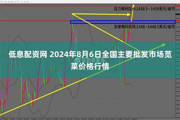 低息配资网 2024年8月6日全国主要批发市场苋菜价格行情