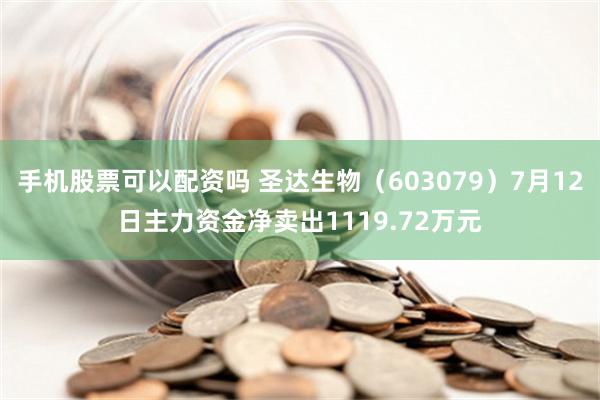 手机股票可以配资吗 圣达生物（603079）7月12日主力资金净卖出1119.72万元