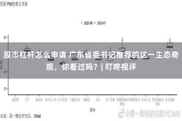 股市杠杆怎么申请 广东省委书记推荐的这一生态奇观，你看过吗？| 叮咚视评