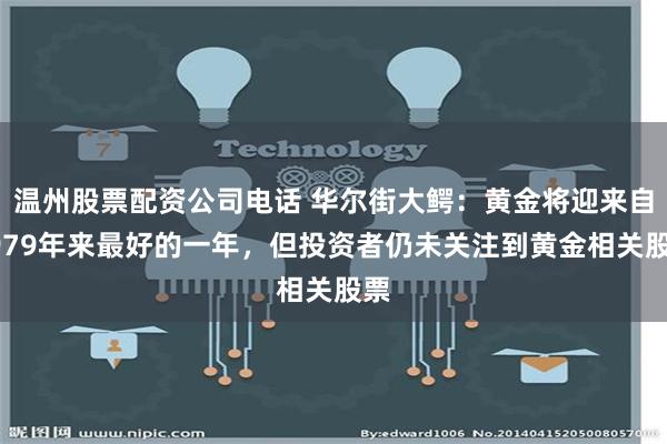 温州股票配资公司电话 华尔街大鳄：黄金将迎来自1979年来最好的一年，但投资者仍未关注到黄金相关股票