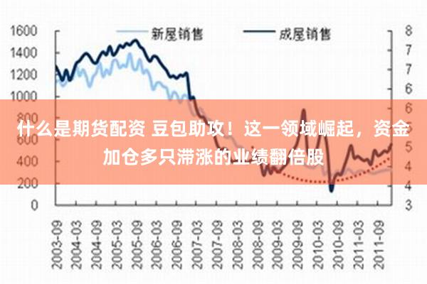 什么是期货配资 豆包助攻！这一领域崛起，资金加仓多只滞涨的业绩翻倍股