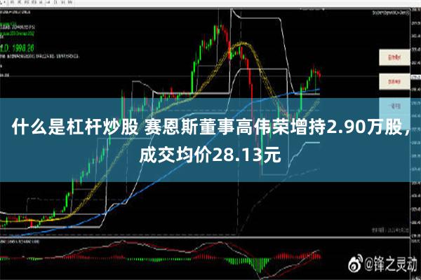 什么是杠杆炒股 赛恩斯董事高伟荣增持2.90万股，成交均价28.13元