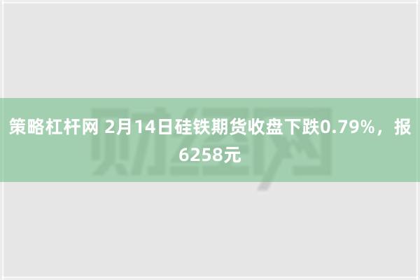 策略杠杆网 2月14日硅铁期货收盘下跌0.79%，报6258元