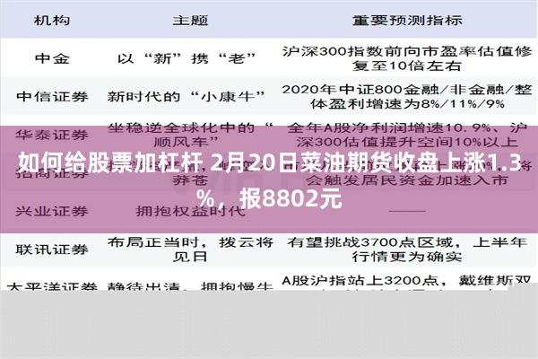 如何给股票加杠杆 2月20日菜油期货收盘上涨1.3%，报8802元